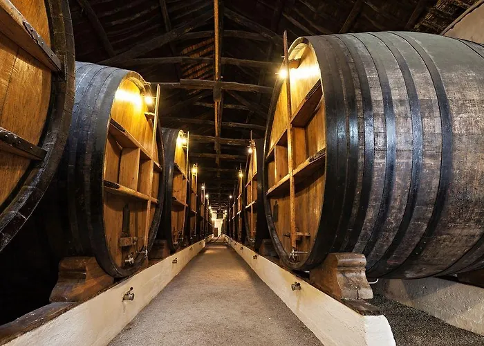 Casual Inca Hotel Oporto